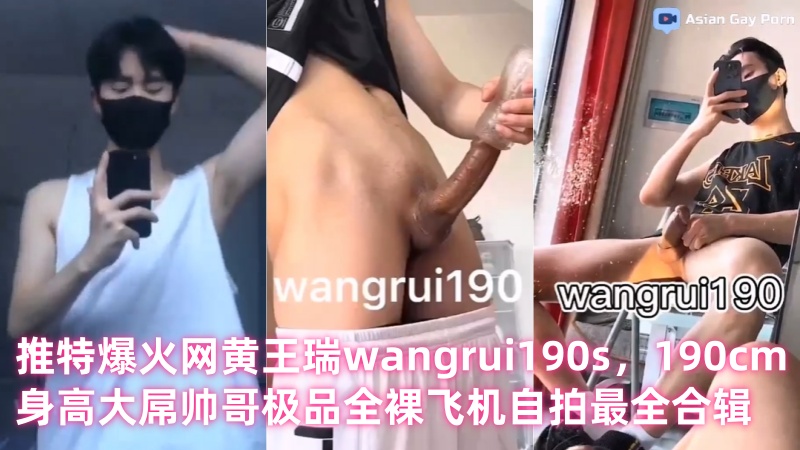 推特爆火网黄王瑞wangrui190s，190cm身高大屌帅哥极品全裸飞机自拍最全24min合辑 国产免费-第1张