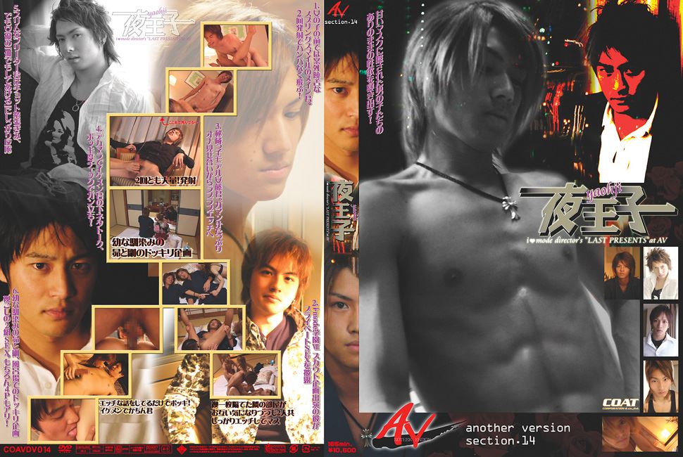 AV section.14 夜王子 i♥mode director's 