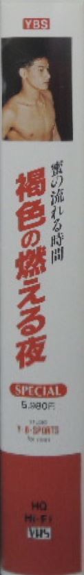 褐色の燃える夜 复古怀旧-第1张