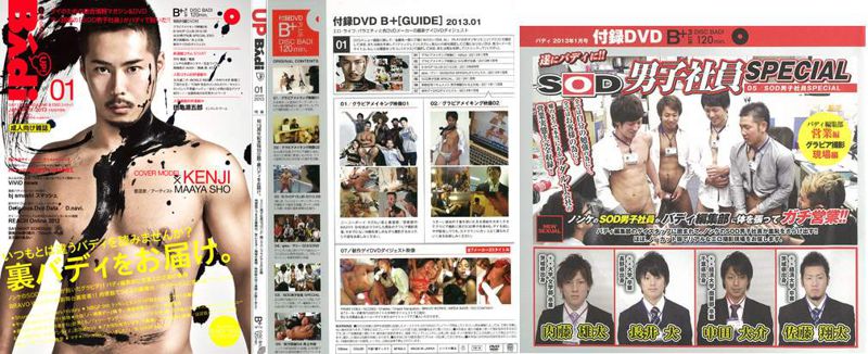 Disc BAdi 2013-01 中年胖熊-第1张