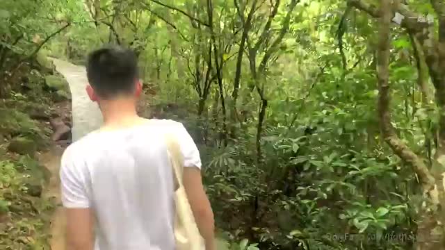 湿湿：山林相遇 戏水情欢 国产免费-第1张